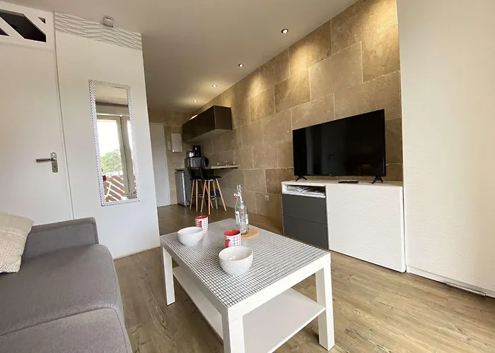 Διαμέρισμα Moderne Avec Balcon Sud, Parking Prive, Pres Avenue De Gaulle - 2 Couchages A - Fr-1-245-107 *